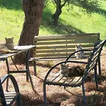 Le Poiane Vacanze San Piero Patti
