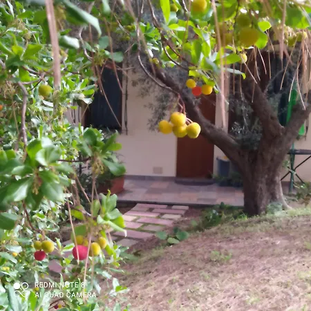 Le Poiane Vacanze Bed & Breakfast San Piero Patti