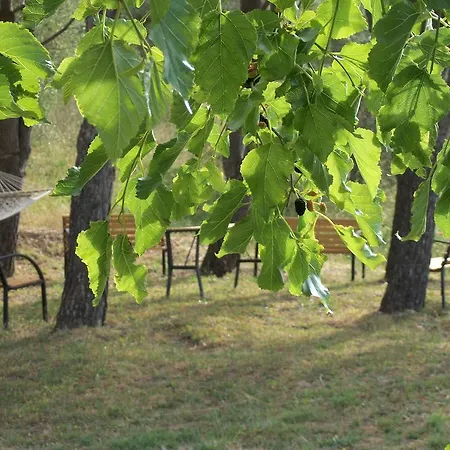 Bed & Breakfast Le Poiane Vacanze 3*