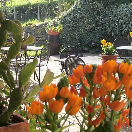 Le Poiane Vacanze Bed & Breakfast
